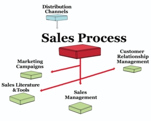 Sales process:  This graphic shows how other subjects depend on your sales process.  BLUE subjects drive it; GREEN subjects are dependent on it.  RED = additional tools that can help.
